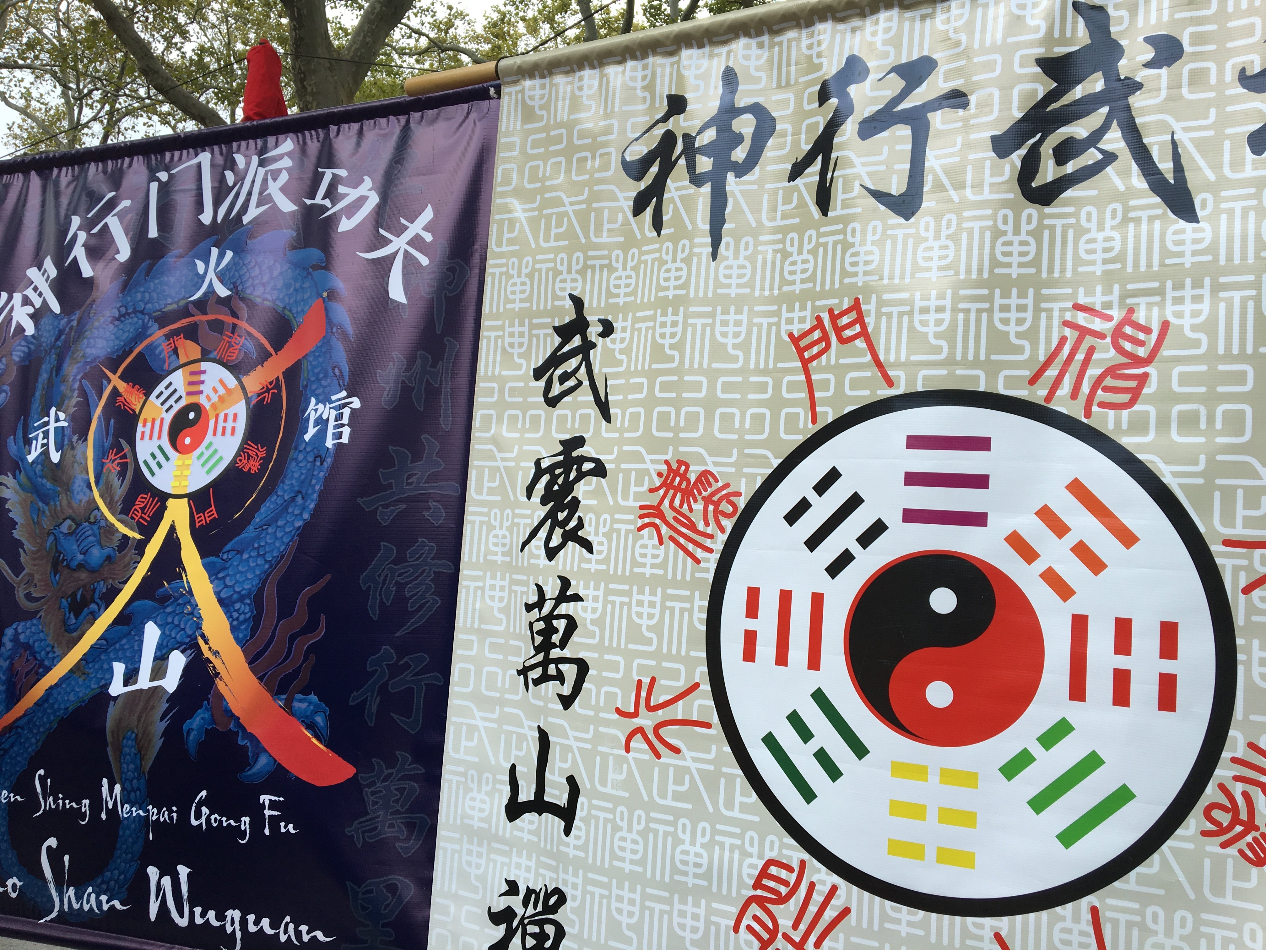Huo Shan Wu Guan Banner and Master Tian's banner Huo Shan Wu Guan Banner and Master Tian's banner