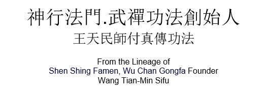 from the lineage of Wu Chan Gongfa Founder Wang Tian Min Sifu