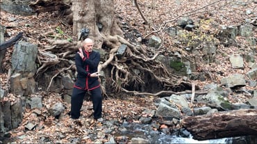Inherent discipline in Chinese Martial Arts